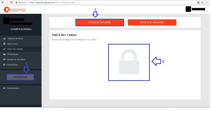 capture ecran Kusoma Group - etude de cas - suivi des ventes.jpg